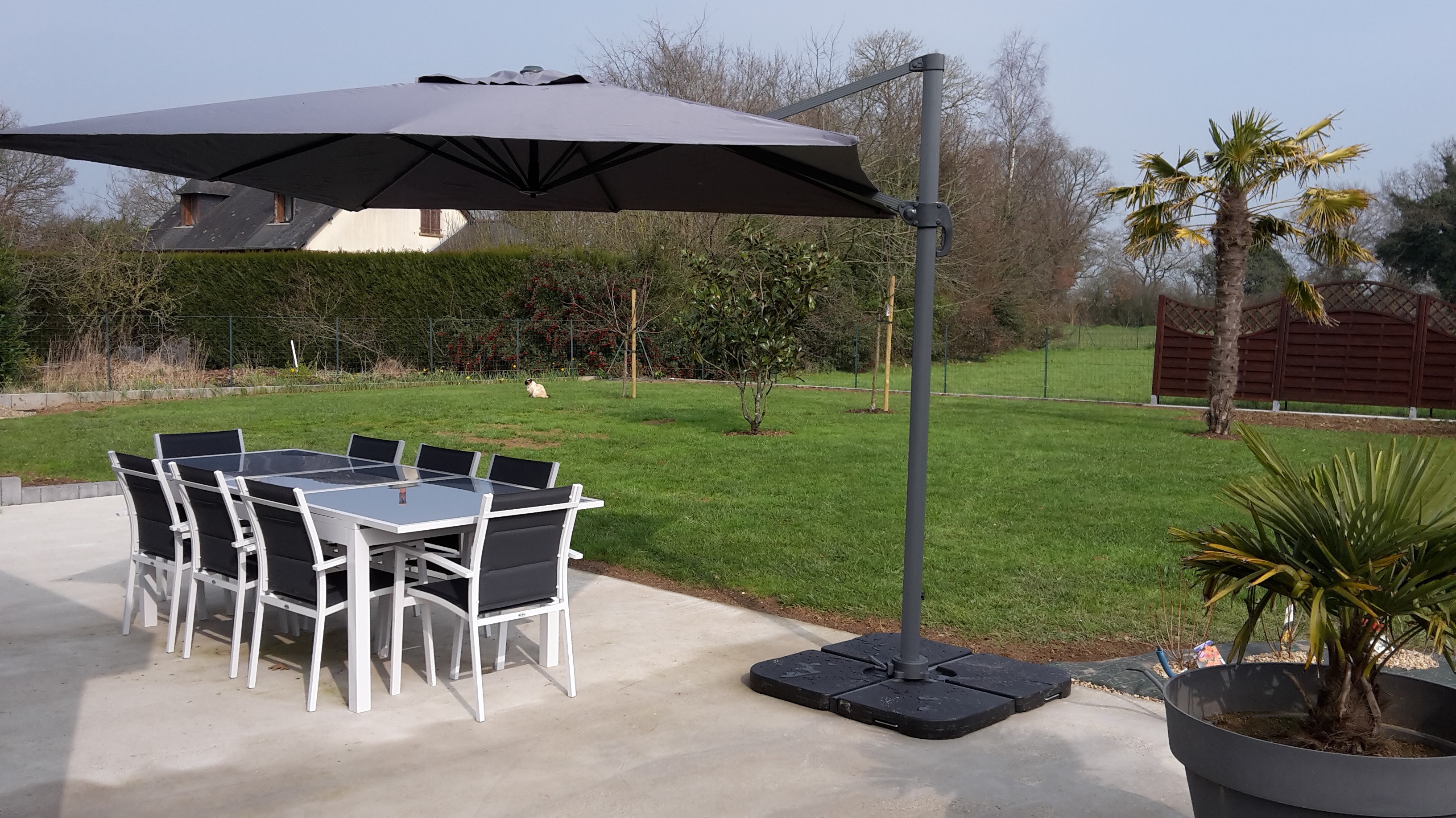 Parasol